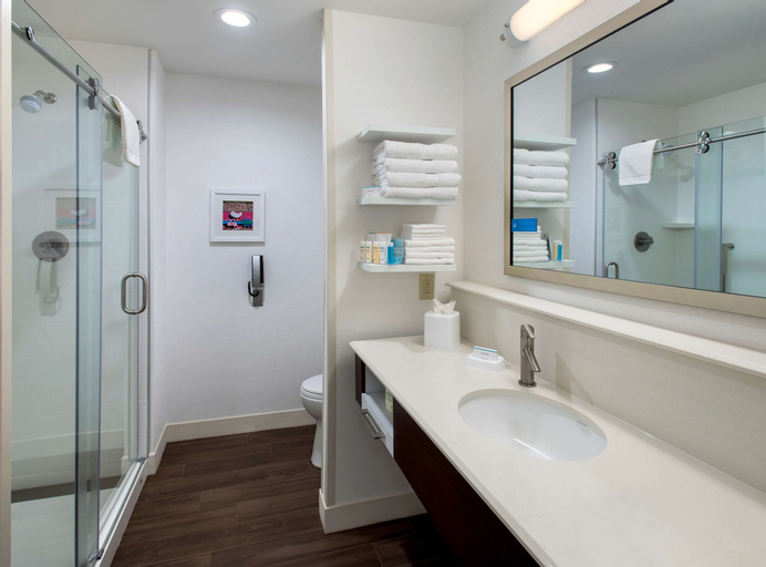 Bedroom 5, Hampton Inn by Hilton New Paltz, Ulster