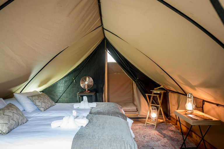 Bedroom 5, Bundox Explorer Camp, Mopani