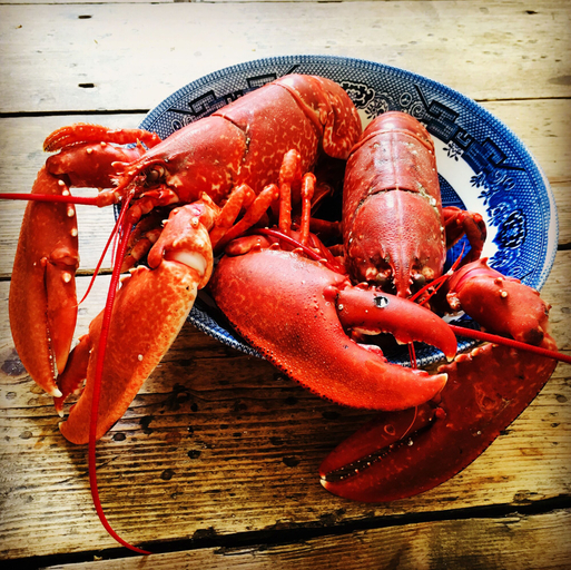 Food & Drinks 2, Kirkapol Beach Sleeps 4 With Dog Access, Argyll and Bute