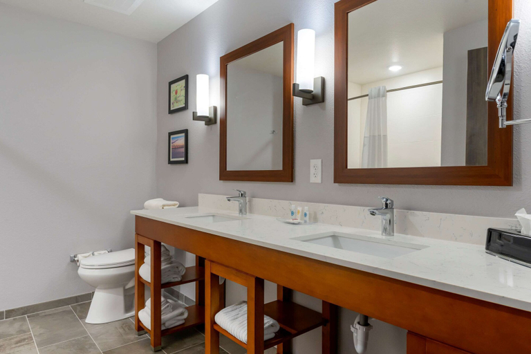 Bathroom 4, Comfort Suites Paducah Mall Area, McCracken