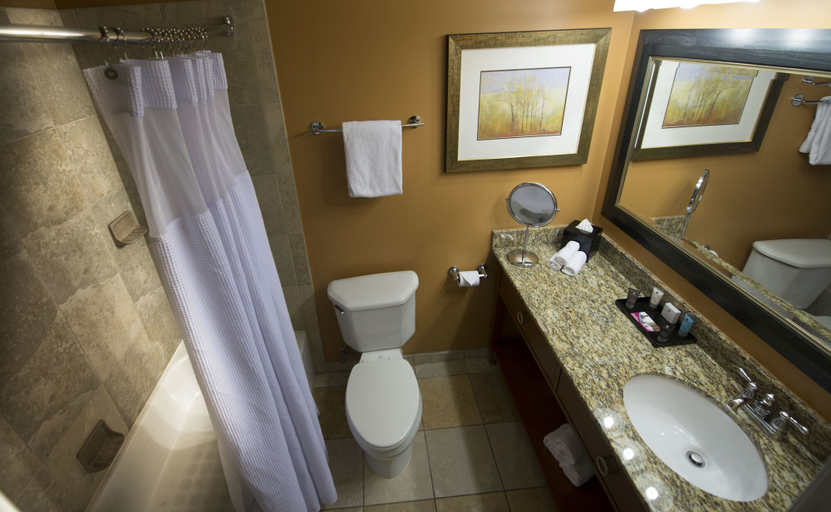 Bathroom 4, The Rockville Hotel, a Ramada by Wyndham, Montgomery