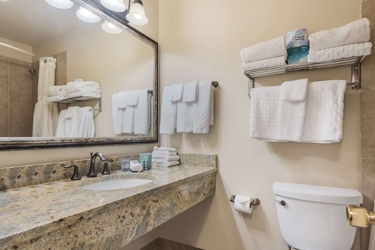 Bathroom 4, Best Western Tyrolean Lodge, Blaine