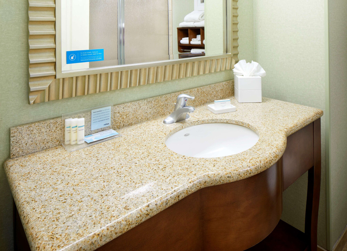 Bathroom 4, Hampton Inn & Suites Savannah/Midtown, Chatham