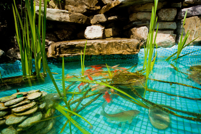 Others 5, Lera Guest House, Sochi gorsovet