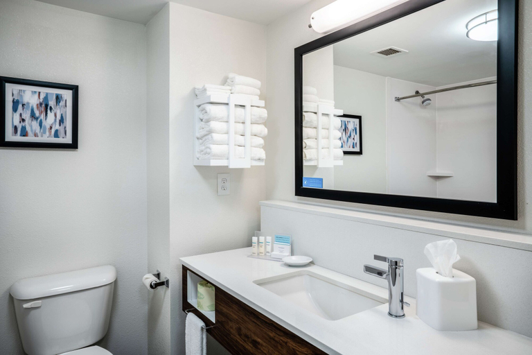 Bathroom 3, Hampton Inn Suites Opelika I85 Auburn Area, Lee