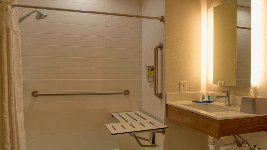Bathroom 5, Holiday Inn Express & Suites BYRAM by IHG, Hinds