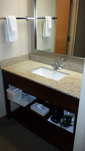 Bathroom 4, Comfort Inn Salida, Chaffee