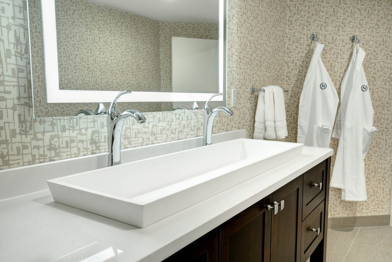 Bathroom 4, Sheraton Eatontown Hotel, Monmouth