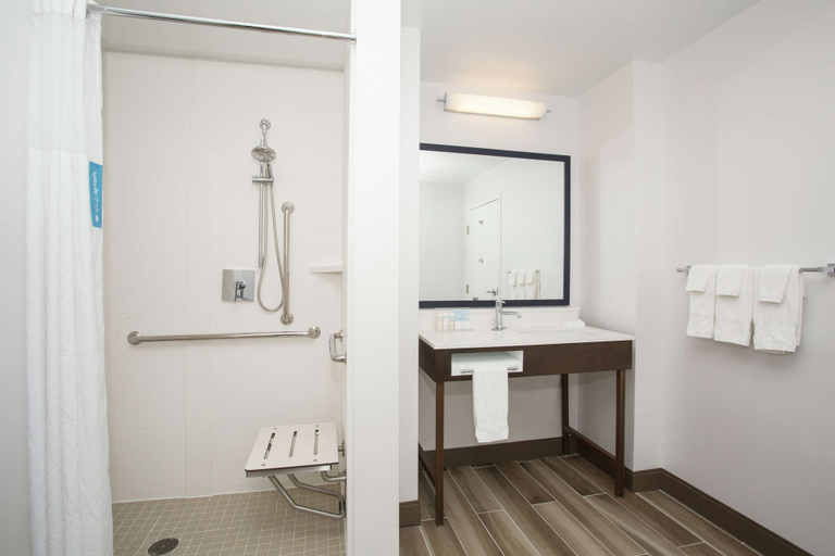 Bathroom 5, Hampton Inn & Suites Denver-Downtown, Denver