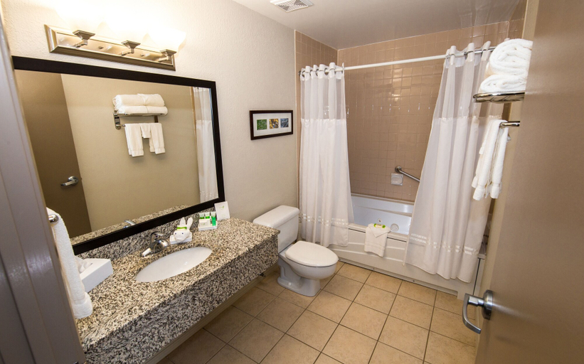Bathroom 4, Best Western Plus Pembina Inn & Suites, Division No. 11
