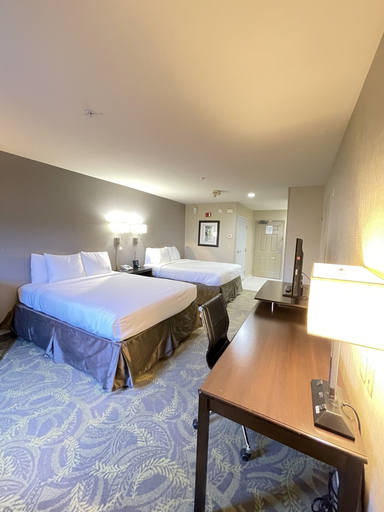 Bedroom 4, Country Inn & Suites, San Carlos, CA, San Mateo