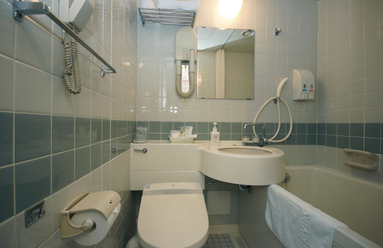 Bathroom 4, Hotel Riverge Akebono, Fukui
