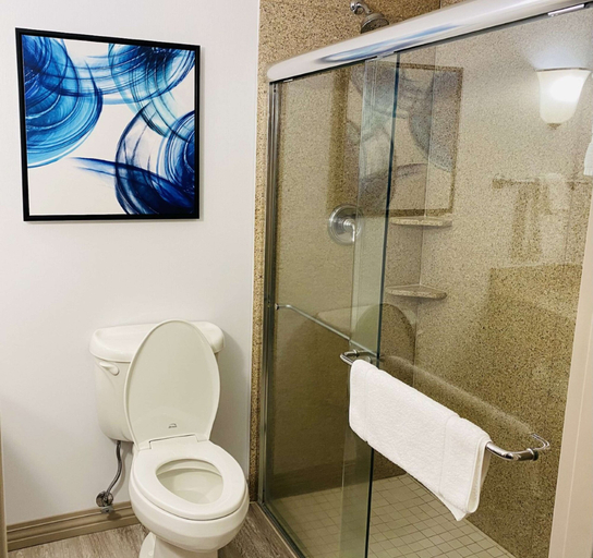 Bathroom 4, Hilton Garden Inn Columbia, Boone