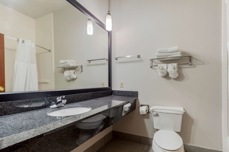 Bathroom 4, BEST WESTERN PLUS McKinney Inn & Suites, Collin