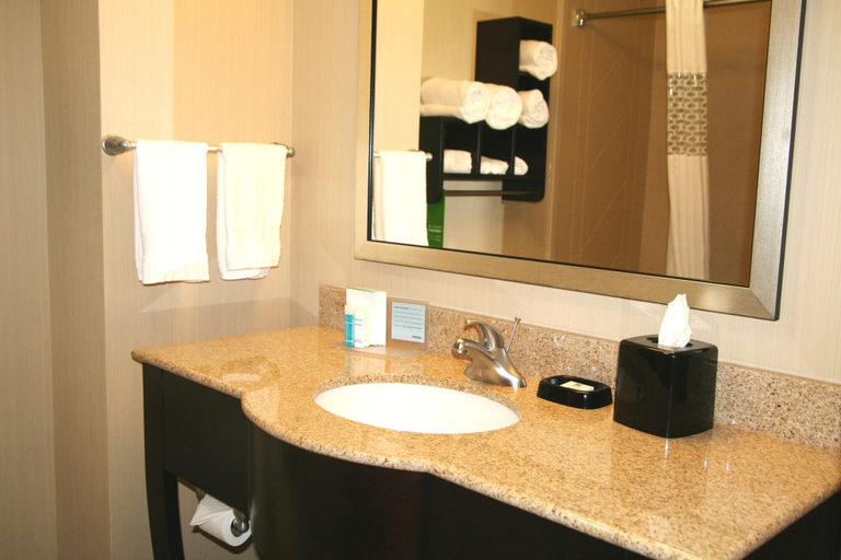 Bathroom 4, Hampton Inn & Suites Liberal, Seward