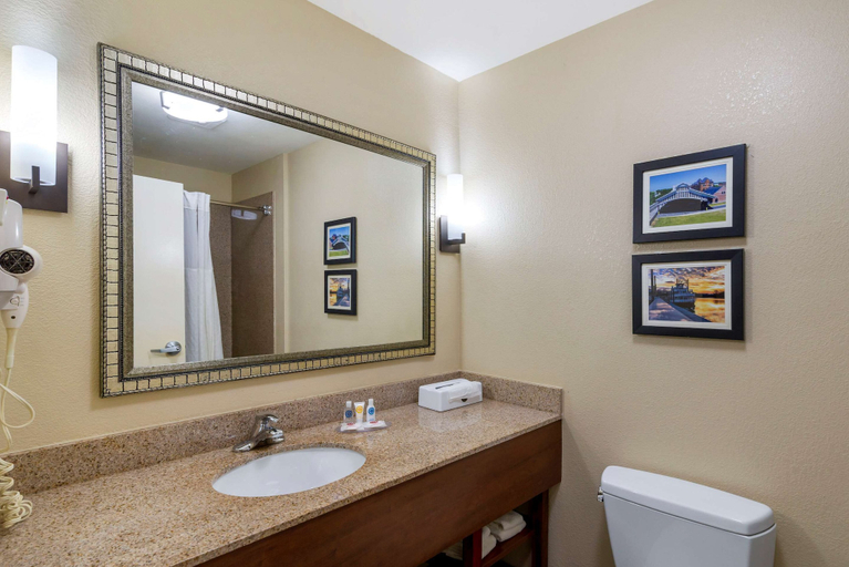 Bathroom 4, Comfort Inn & Suites Montgomery Eastchase, Montgomery