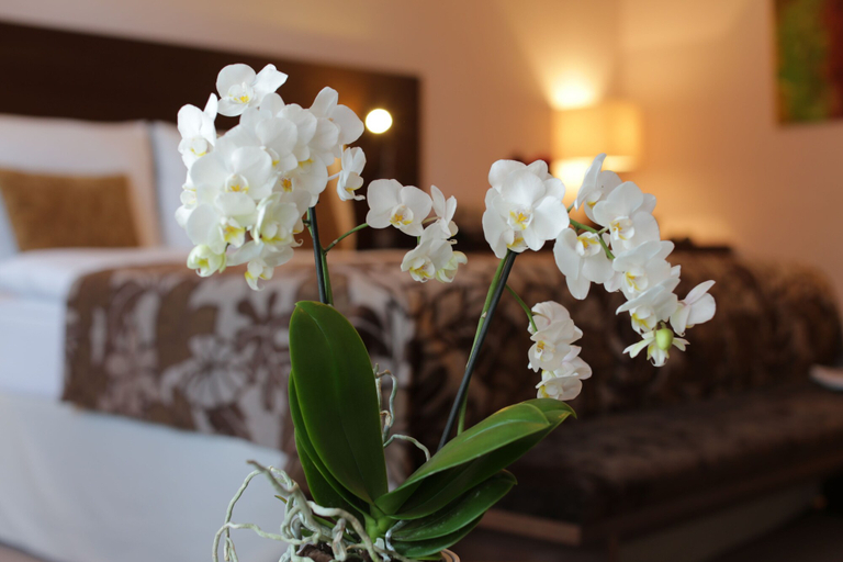 Bedroom 3, Hotel Zochova Chata - Adult friendly, Pezinok