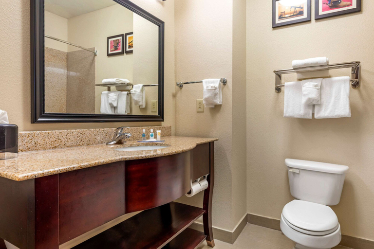 Bathroom 4, Comfort Inn Near UNT, Denton