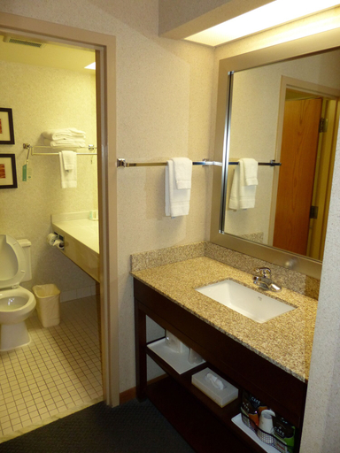 Bathroom 4, Comfort Inn Salida, Chaffee