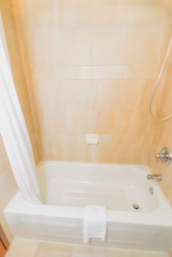 Bathroom 3, Canad Inns Destination Centre Polo Park, Division No. 11