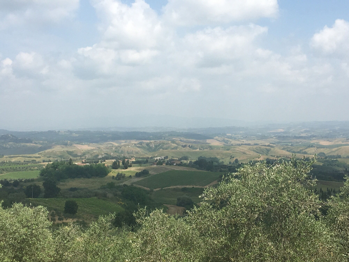 Rigone in Chianti, Florence