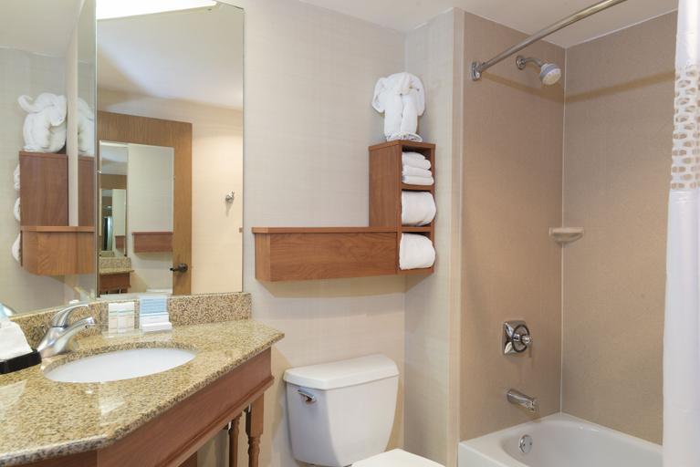Bathroom 4, Hampton Inn Joliet - I-80, Will