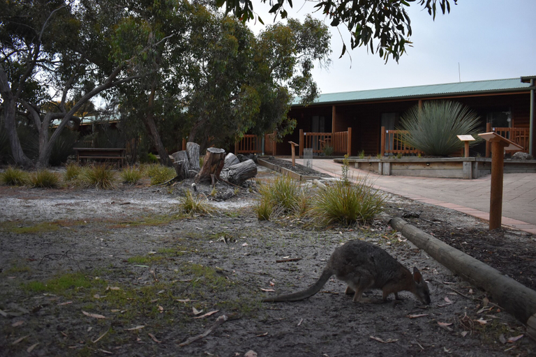 Exterior & Views, Kangaroo Island Wilderness Retreat, Kangaroo Island