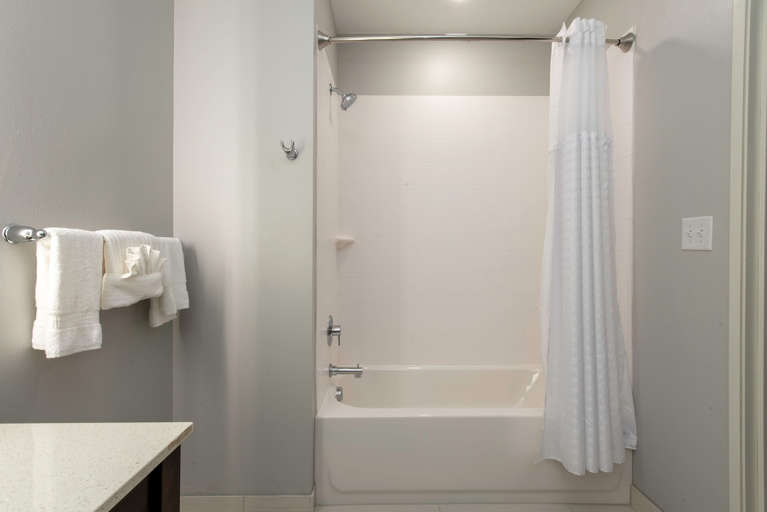 Bathroom 5, Comfort Suites Greenville Airport, Greenville