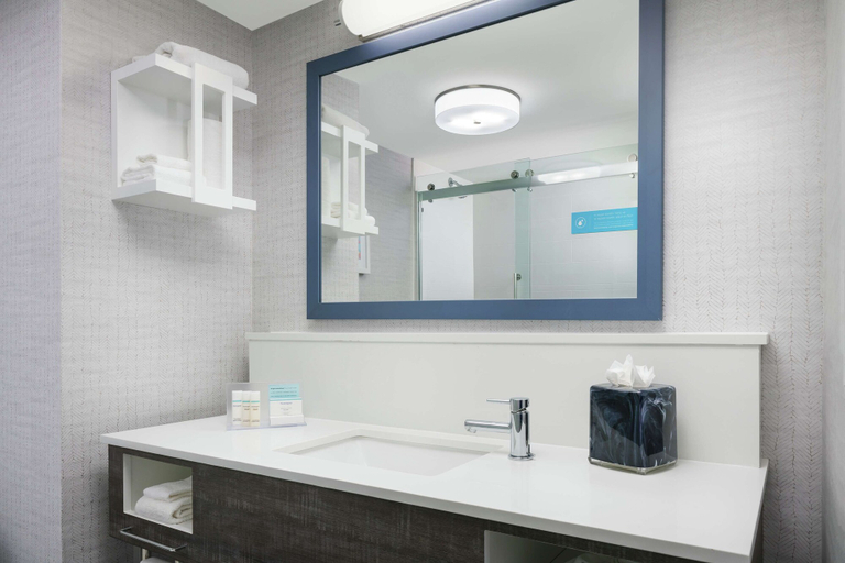 Bathroom 4, Hampton Inn & Suites Tampa/Ybor City/Downtown, Hillsborough