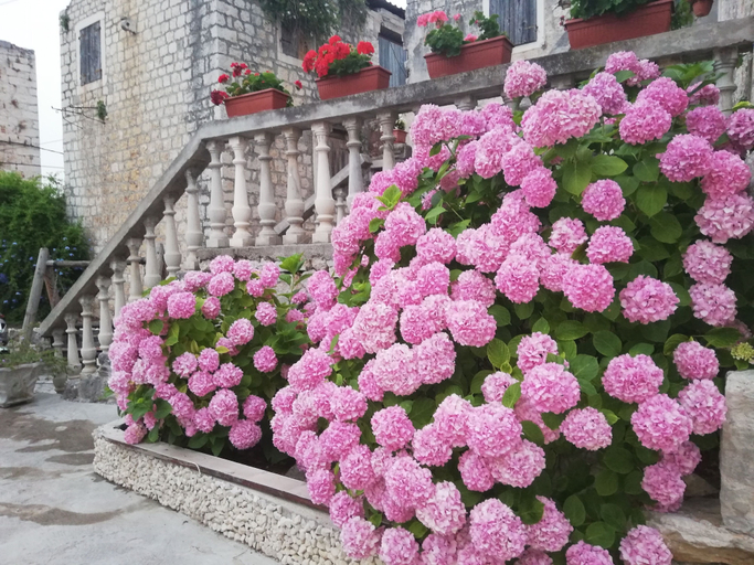 Others 5, Guest House Exalto, Trogir