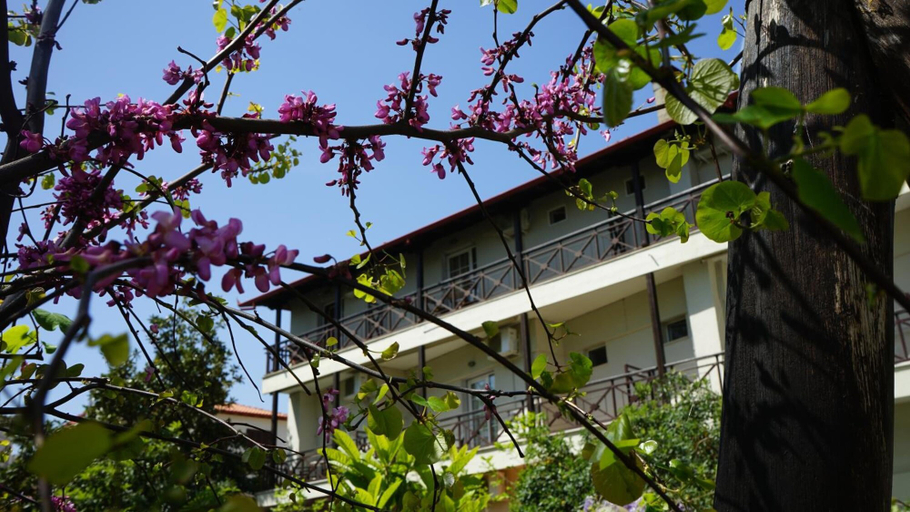 Exterior & Views 2, Hotel Morfeas, Central Macedonia