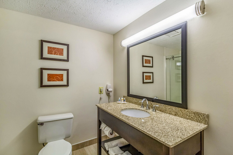 Bathroom 4, Comfort Inn Independence - Cleveland, Cuyahoga