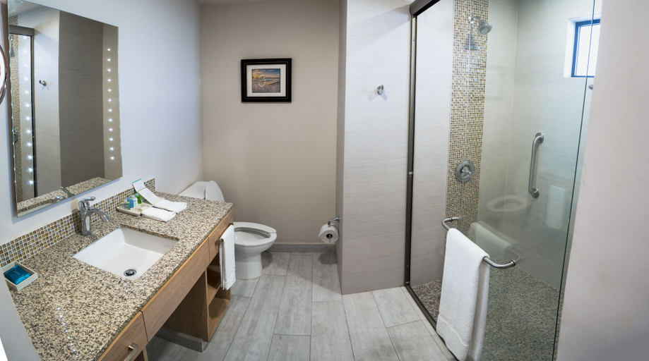 Bathroom 5, Medano Hotel and Spa, La Paz