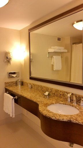 Bathroom 4, San Carlos Hotel, New York
