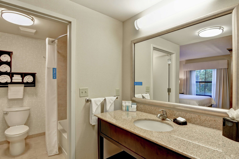 Bathroom 4, Hampton Inn Tunkhannock, Wyoming