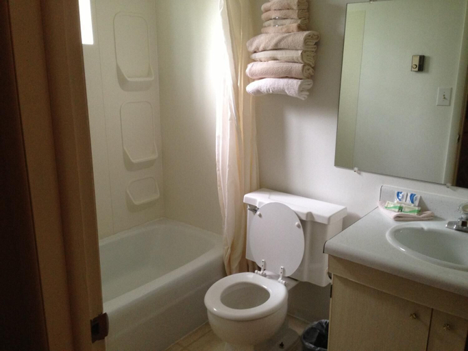 Bathroom 3, Capri Motel, Emmet