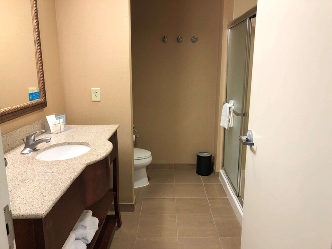 Bathroom 4, Hampton Inn & Suites Norfolk-Airport, Norfolk