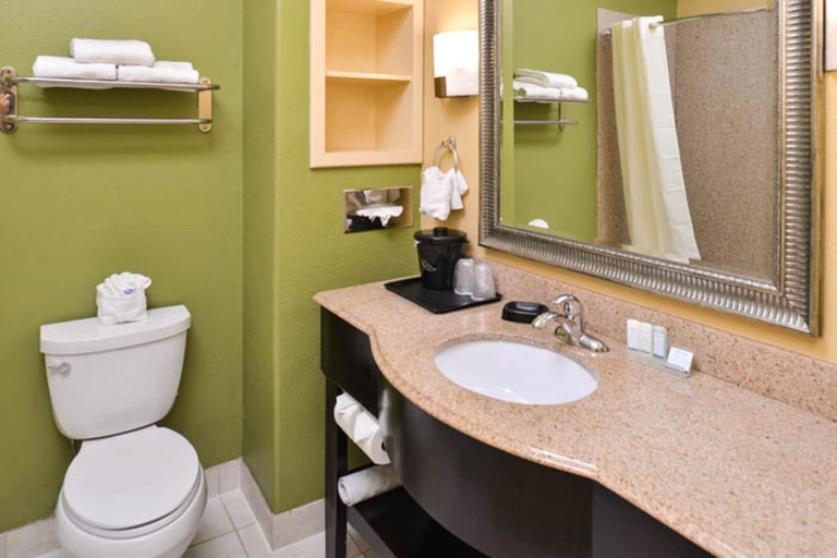 Bathroom 4, Sleep Inn & Suites Downtown Houston Near Convention Center, Houston