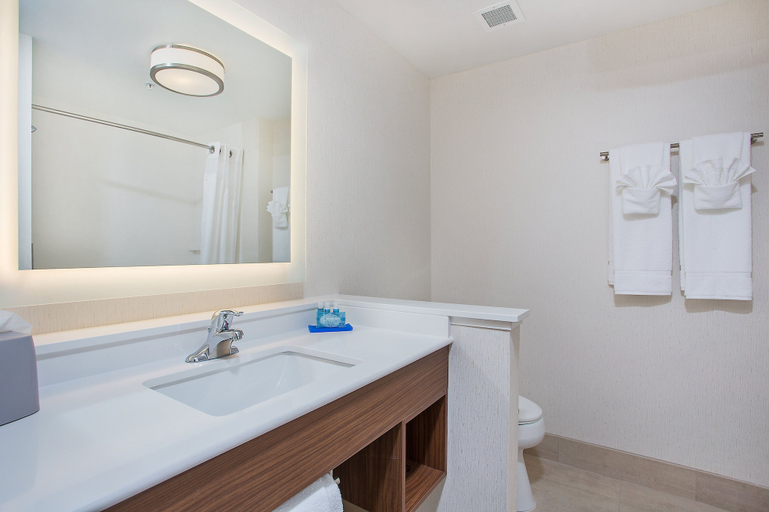 Bathroom 3, Holiday Inn Express & Suites COVINGTON by IHG, Newton