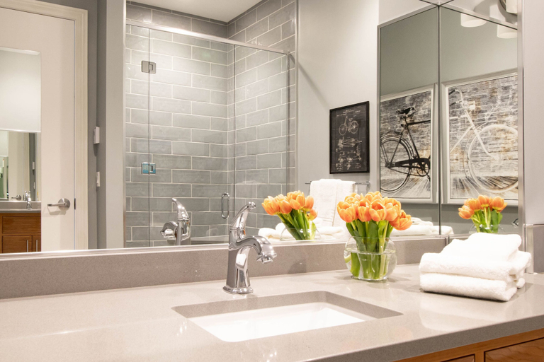 Bathroom 4, Retro Suites Hotel, Chatham-Kent