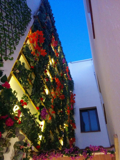 Exterior & Views 2, Lucero 12 Marbella Hostal Boutique, Málaga