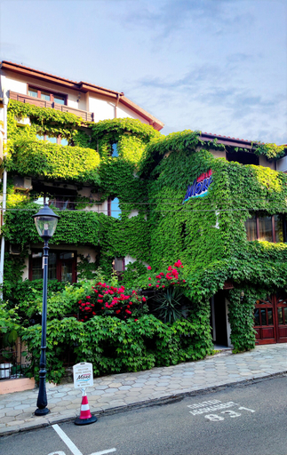 Exterior & Views 3, Family Hotel More, Sozopol