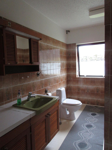 Bathroom 3, Rauðaberg II, Sveitarfélagið Hornafjörður