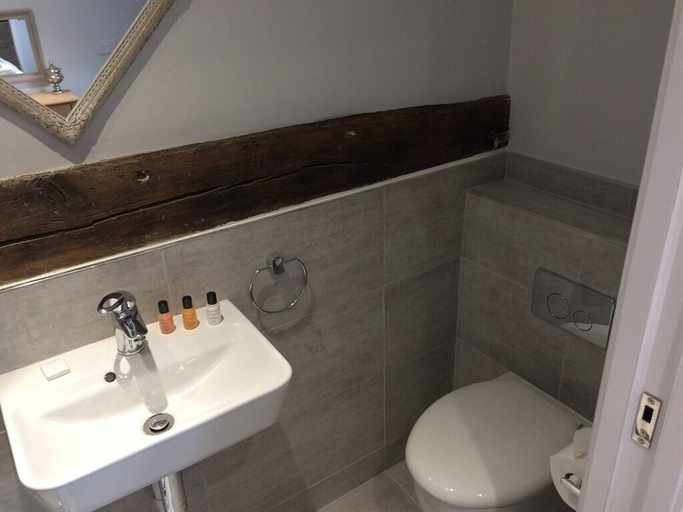 Bathroom 3, The Dog at Wingham, Kent