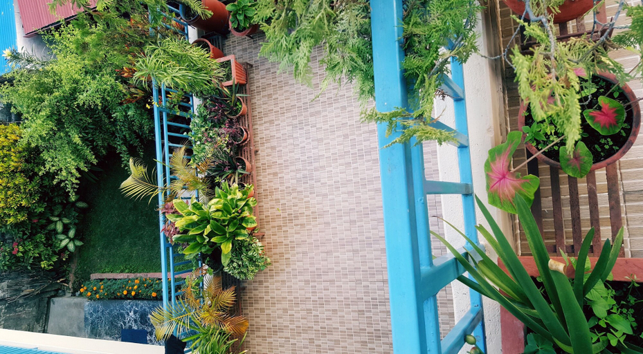 Others 4, Nanohana Lodge, Gandaki