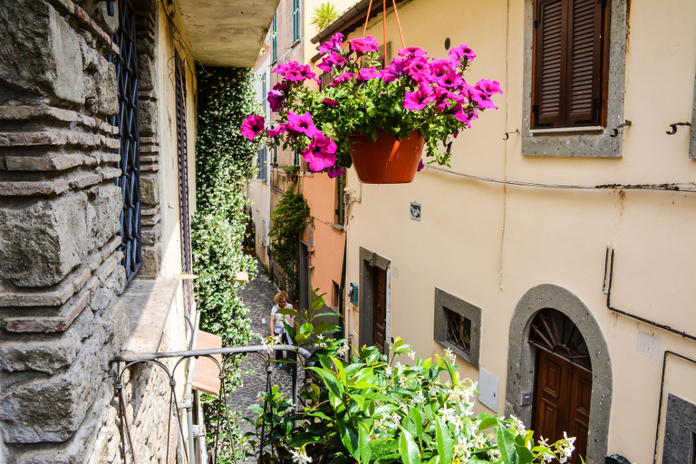 Exterior & Views 2, Atlantis Inn Castelgandolfo, Rome