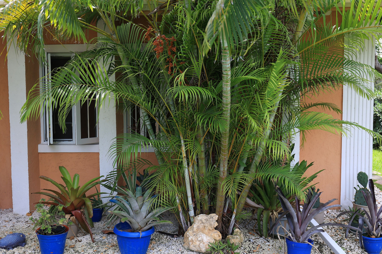 Exterior & Views, Coconut Palm Hideaway