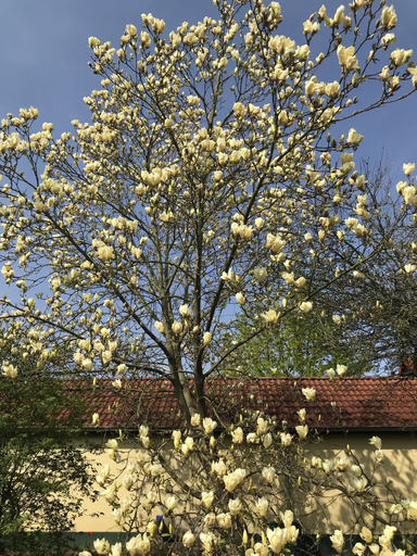 Others 5, Ferienwohnung Maedchen, Region Hannover