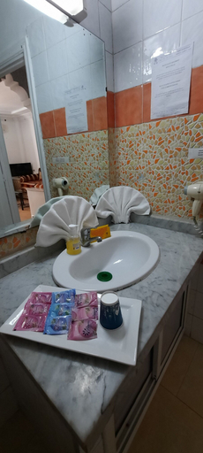 Bathroom 4, Moroccan House Hotel Casablanca, Casablanca