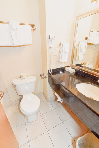 Bathroom 3, Canad Inns Destination Centre Polo Park, Division No. 11